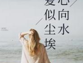 爱似尘埃心向水,探寻情感与自然的和谐共鸣