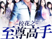 校花之至尊高手,风云校园，一代宗师崛起
