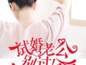 试婚老公,一段真实而深刻的情感探索之旅