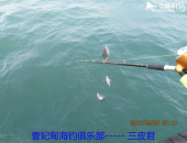 海钓网,探索海洋乐趣，解锁深海宝藏之旅