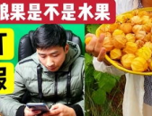 网红云南蔡总吃瓜原视频,揭秘瓜农生活点滴